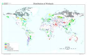Maybe you would like to learn more about one of these? Global Wetlands Distribution Wetland Biomes Map