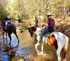 Group Riding Horses At Southeast Pack Trips Trip Horses Southeast