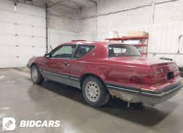 Image result for Maroon 1987 UMM