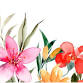 Utica Garden Club Garden Faire & Plant Sale