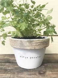 Pin On Gardening
