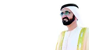 عمل قنديل مساعد تدريس في الجامعة الأميركية بالقاهرة خلال عام 2014، كما كان متدربا في شركة شلمبرجير الألمانية خلال 2012، وشغل منصب قائد فريق جمع التبرعات. Ù…Ù† Ù‡Ùˆ Ù…ØµØ·ÙÙ‰ Ù‚Ù†Ø¯ÙŠÙ„ Ù…Ù„Ù Ø§Ù„Ø´Ø®ØµÙŠØ© Ù…Ù† Ù‡Ù…