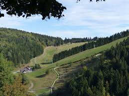 Brings all the benefits of the open cockpit design to the ultimate utility platform. Msb X Trail Bikepark Harz