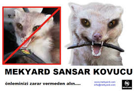 Sansar Kovucu Hayvan