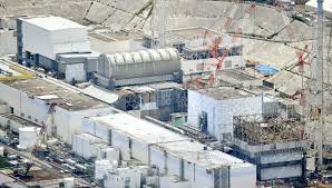 Also die können's nur bestellen, ich habe sowas auch noch nie gesehen. Entfernung Des Atommulls Am Fukushima Kernkraftwerk Dauert Wegen Der Pandemie Langer