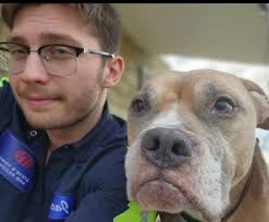 Lost my dear Mom 3/22/19. The day after her service I saw two blue Jay's  side by side. My father loved them.