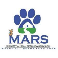 Twin cities pet rescue po box 28245 st. Pet Project Rescue Minneapolis Mn Home Facebook