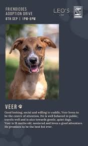 CFMoto owner rescued from water at 7-minute mark