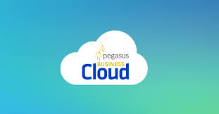 Pm it systems have over 30 years' experience working with the pegasus range of accounting solutions, from pegasus senior through opera and now opera 3. Cloud Accounting Software For 2019 Pegasus Genesisit Hull