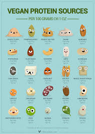 vegan protein poster english cute characters show you