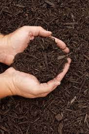 Choose colored mulch that complements the exterior colors of your home in the brick, stone, stucco and siding. How To Select The Best Mulch For Flowerbeds And Gardens