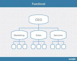 9 Types Of Organizational Structure Every Company Should