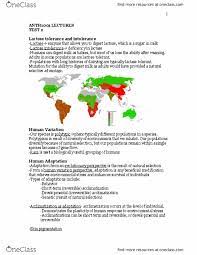 Anth 1001 Study Guide Fall 2018 Quiz Lactose Intolerance Lactase Persistence Acclimatization