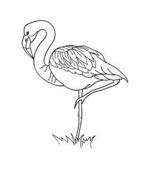 Flamingo Zum Ausdrucken Ausmalbilder Zum Ausdrucken Ausmalbilder Ausmalbilder Tiere