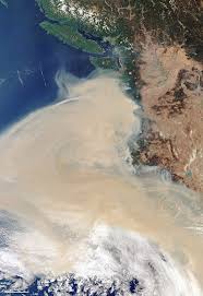 Jun 30, 2021 · latest updates on wildfires burning across northern and southern california • yard waste burns: 2020 California Wildfires Wikipedia