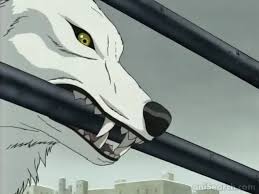 Some of them are mostly human with wolfish traits; Wolf S Rain Anime Anisearch