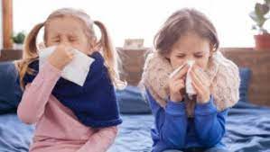 Rhinovirus, a group of viruses capable of causing common colds in human adults and children. Rhinovirus Infections Healthychildren Org