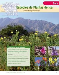 Planta liliácea, de flores grandes y hermosas / pin by mercedes velez on flores y jardines | beautiful. Part 2