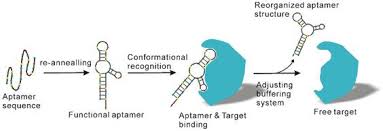 Integrated pest management (ipm) aims at integrating methodologies across all crop protection disciplines in a pest management is the intelligent selection and use of pest control actions that will ensure favourable sampling techniques and programmes play a particularly important role in ipm. Progress Opportunity And Perspective On Exosome Isolation Efforts For Efficient Exosome Based Theranostics
