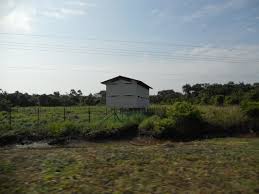 Gambar rumah burung walit kos rendah. Kualiti Sarang Walit Di Mukah Suara Anak Sarawak