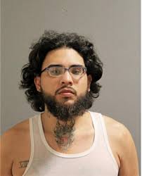 ᐅ Illinois Criminal Records 2009-2025