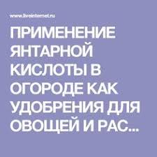 янтарная кислота для комнатных растений в таблетках как применять Primenenie Yantarnoj Kisloty V Ogorode Kak Udobreniya Dlya Ovoshej I Rastenij Gidroponnoe Sadovodstvo Organicheskoe Sadovodstvo Sadovyj Zhurnal