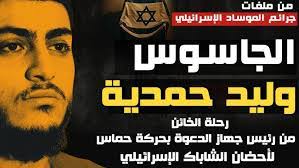 Sabrine Selmi's Instagram, Twitter & Facebook