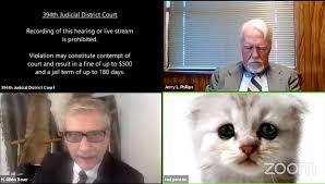 Ferguson had a laugh over the kitten court catastrophe and praised all lawyers involved. Lawyer Rod Ponton Happy To Let People Laugh At His Expense After Appearing On Zoom With Cat Filter