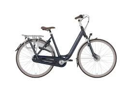 Sportieve Stadsfiets Van Gazelle Lage Instap 7 Versnellingen Shimano Nexus Gesloten Kettingkast Verende Voorvork Verende Z Fietsen Stadsfiets Soorten Fietsen