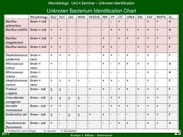 ppt unit 4 seminar unknown identification powerpoint