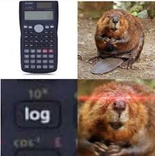 Beaver Memes Are On The Rise Invest Now Stupid Memes Funny Memes Edgy Memes