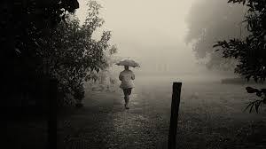 Maybe you would like to learn more about one of these? Some People Feel The Rain Others Just Get Wet The 4 Pillars