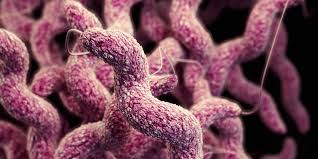 Image result for penicillin era