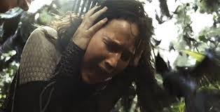 Cameron Denison's Blog