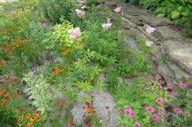 This challenge can be mitigated through mulching your choices include not only classic flowering perennial plants but also plants that grow from bulbs and tubers, ground covers, and ornamental. How To Build A Rain Garden Plants And Designs The Old Farmer S Almanac