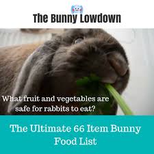 3 807 bunny food stock video clips in 4k and hd for creative projects. Rabbit Food List What S Safe For My Rabbit To Eat By Kris Barton The Bunny Lowdown Medium