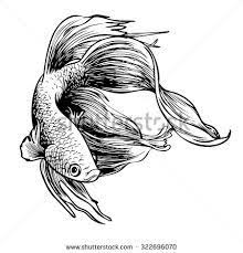 How To Foreshorten A Fishs Fin Betta Fish Tattoo Fish Illustration Beta Fish Drawing