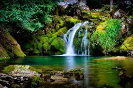 Check spelling or type a new query. Nature Backgrounds Hd Images Wallpaper Cave