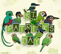 Green Bird With Red Ring Around Neck St Patrick S Day With Cute Green Birds From Birdorable Birds Green Bird Parrot Bird