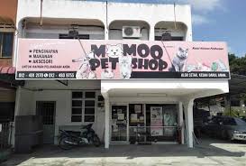 Check spelling or type a new query. Momoq Petshop Alor Star Kedah Psherbs