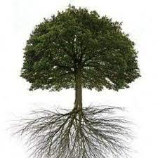 Mustard seed jesus told them another parable: Stream Mustard Tree Unfinished By Felipe Feitosa Castro Listen Online For Free On Soundcloud