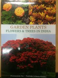 We did not find results for: Amazon In Buy Garden Plants Flowers Trees In India Book Online At Low Prices In India Garden Plants Flowers Trees In India Reviews Ratings