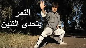 Maybe you would like to learn more about one of these? ØªØ­Ù…ÙŠÙ„ ÙˆÙ‚ÙØ© Ø§Ù„Ù†Ù…Ø± ÙÙŠ ÙƒÙˆÙ†Øº ÙÙˆ Mp4 Mp3
