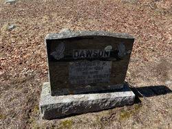 Aileen Aramid Wesley Dawson (1913-1990)