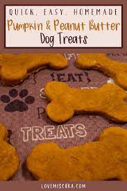 Easy Pumpkin Peanut Butter Dog Treats Love Mischka Recipe Peanut Butter Dog Treats Easy Dog Treats Dog Treats Homemade Recipes