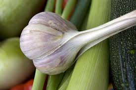 How To Plant Grow And Harvest Garlic