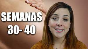 Semana 30 De Embarazo Hasta La 40 Youtube