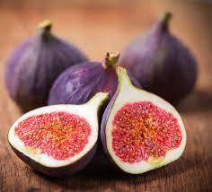 Any of various trees or shrubs of the genus ficus, especially f. Fig Bbc Good Food