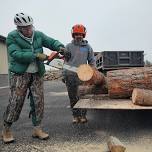Chainsaw 101: Safety, Saws, and Your First Cut of Wood!