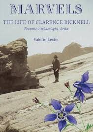 Marvels : Lester, Valerie: Amazon.sg: Books